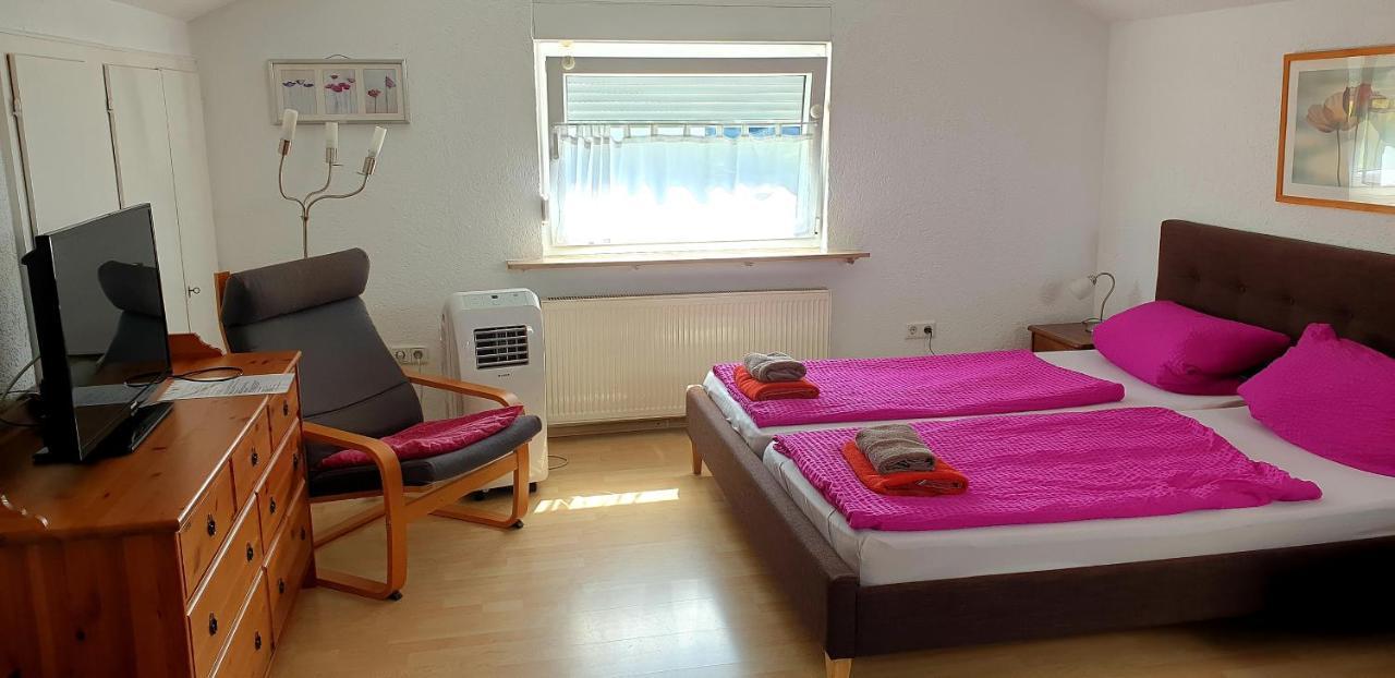 Apartmenthaus "Zum Lowen" Heidelberg - Ziegelhausen Екстер'єр фото