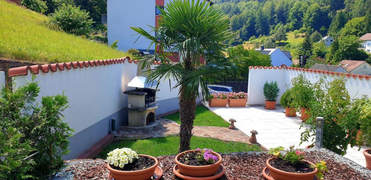 Apartmenthaus "Zum Lowen" Heidelberg - Ziegelhausen Екстер'єр фото