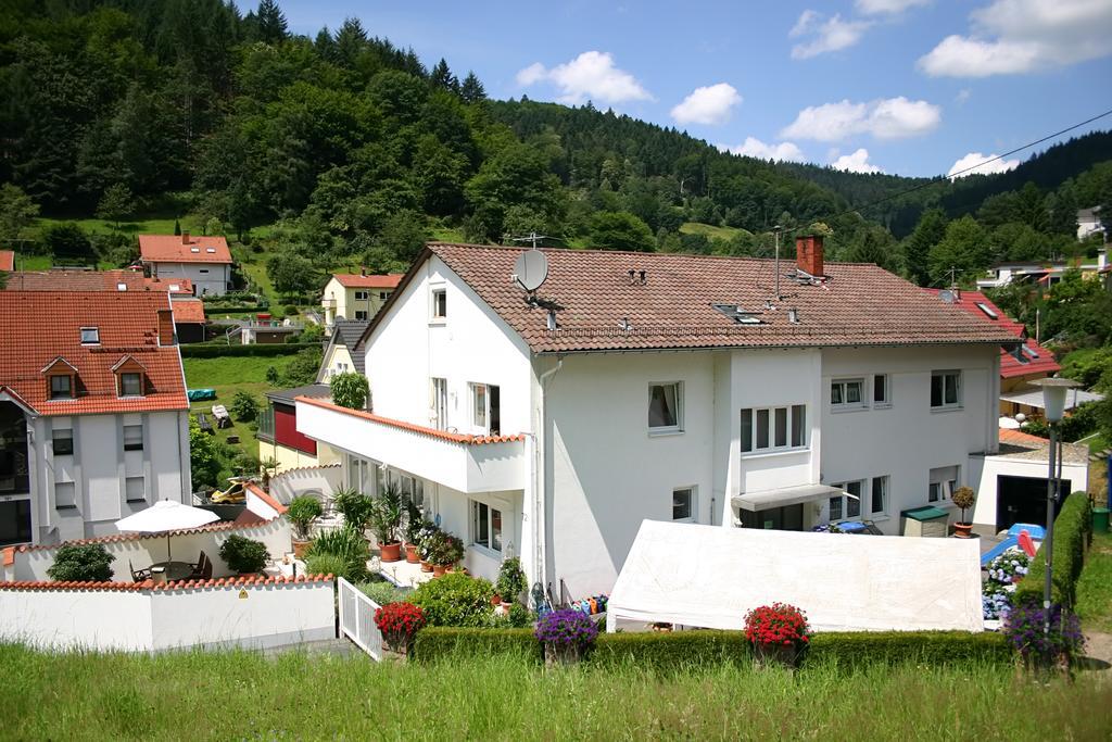 Apartmenthaus "Zum Lowen" Heidelberg - Ziegelhausen Екстер'єр фото