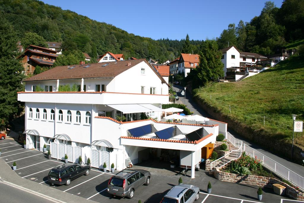 Apartmenthaus "Zum Lowen" Heidelberg - Ziegelhausen Екстер'єр фото