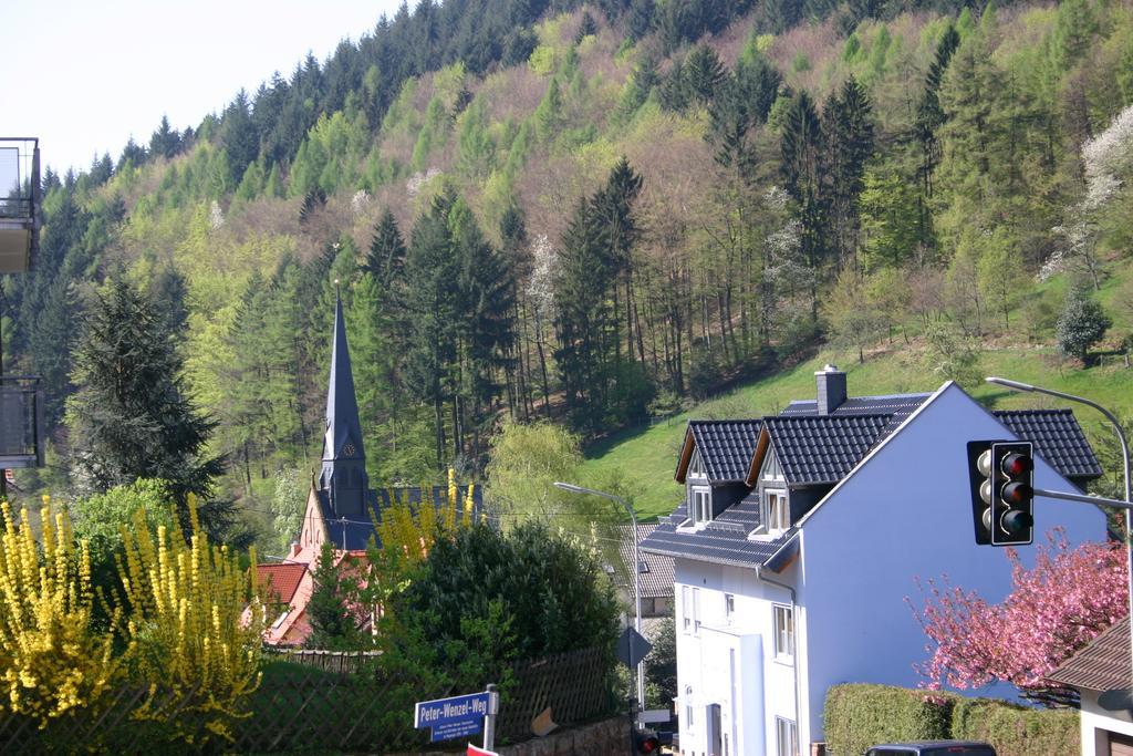 Apartmenthaus "Zum Lowen" Heidelberg - Ziegelhausen Екстер'єр фото