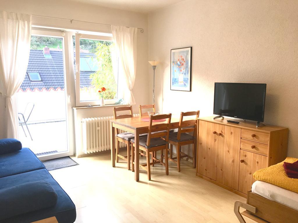 Apartmenthaus "Zum Lowen" Heidelberg - Ziegelhausen Екстер'єр фото