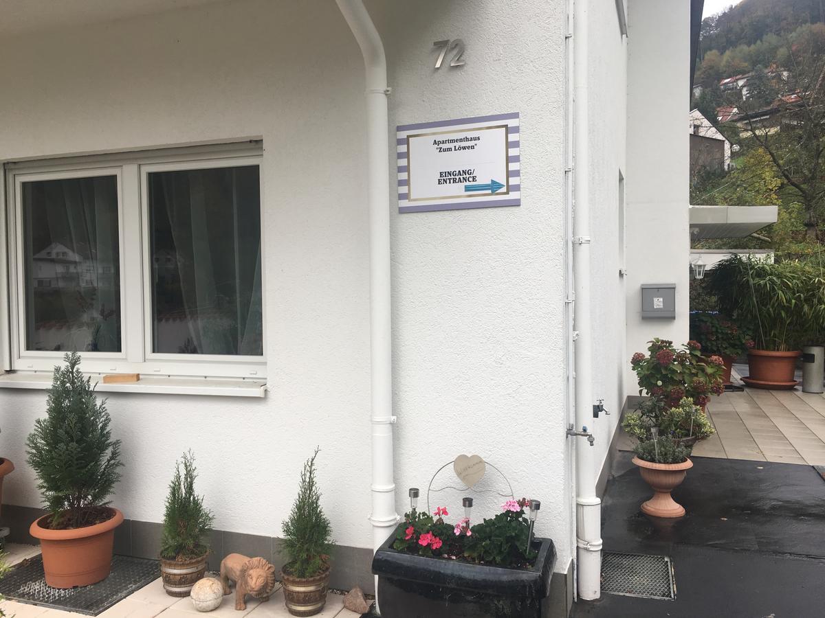 Apartmenthaus "Zum Lowen" Heidelberg - Ziegelhausen Екстер'єр фото