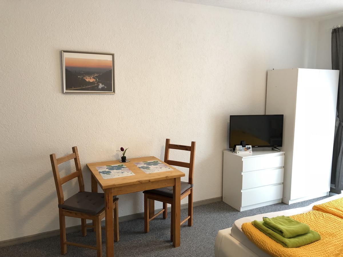 Apartmenthaus "Zum Lowen" Heidelberg - Ziegelhausen Екстер'єр фото