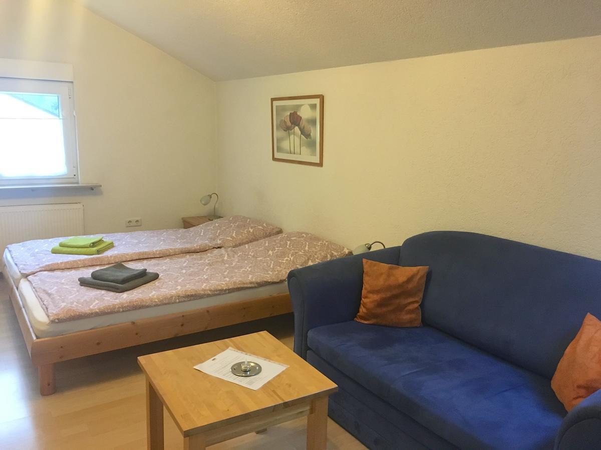 Apartmenthaus "Zum Lowen" Heidelberg - Ziegelhausen Екстер'єр фото